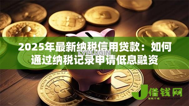 2025年最新纳税信用贷款：如何通过纳税记录申请低息融资