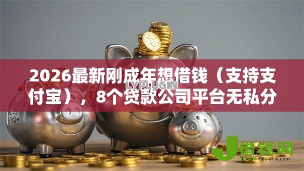 2026最新刚成年想借钱(支持支付宝),8个贷款公司平台无私分享 2026最新刚成年想借钱(支持支付宝),8个贷款公司平台无私分享
