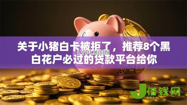 关于小猪白卡被拒了，推荐8个黑白花户必过的贷款平台给你