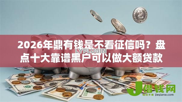 2026年鼎有钱是不看征信吗？盘点十大靠谱黑户可以做大额贷款app