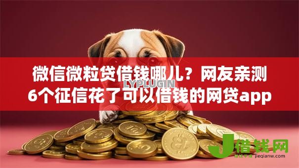 微信微粒贷借钱哪儿？网友亲测6个征信花了可以借钱的网贷app盘点