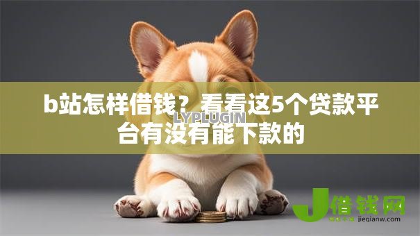 b站怎样借钱？看看这5个贷款平台有没有能下款的