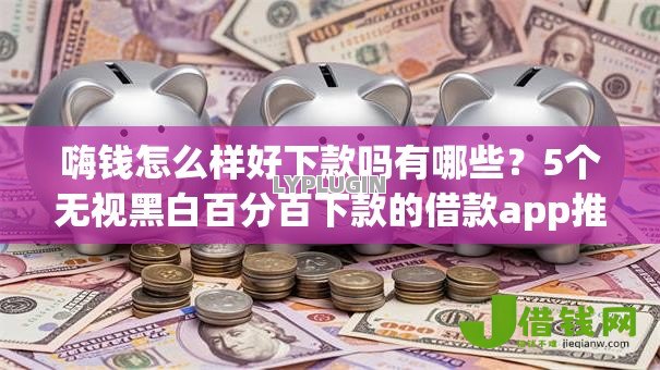 嗨钱怎么样好下款吗有哪些？5个无视黑白百分百下款的借款app推荐给你
