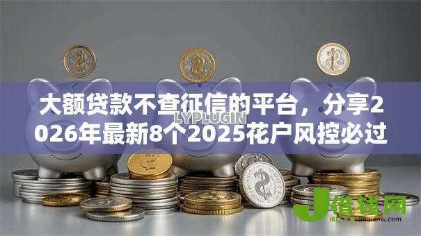 大额贷款不查征信的平台，分享2026年最新8个2025花户风控必过的口子论坛