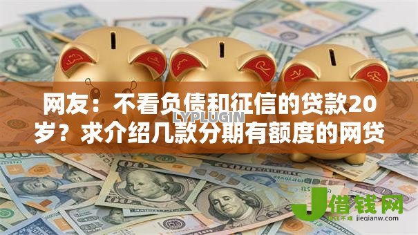 网友：不看负债和征信的贷款20岁？求介绍几款分期有额度的网贷软件