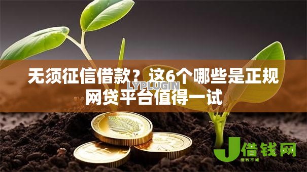 无须征信借款?这6个哪些是正规网贷平台值得一试 无须征信借款?这6个哪些是正规网贷平台值得一试