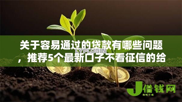 关于容易通过的贷款有哪些问题，推荐5个最新口子不看征信的给你