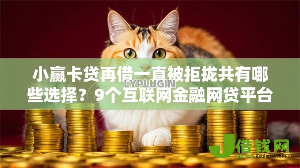 小赢卡贷再借一直被拒拢共有哪些选择？9个互联网金融网贷平台详解