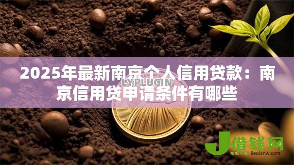 2025年最新南京个人信用贷款:南京信用贷申请条件有哪些 2025年最新南京个人信用贷款:南京信用贷申请条件有哪些