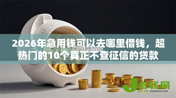 2026年急用钱可以去哪里借钱，超热门的10个真正不查征信的贷款口子推荐