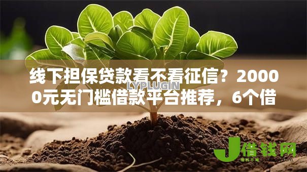 线下担保贷款看不看征信？20000元无门槛借款平台推荐，6个借钱无视黑白100%秒下口子盘点