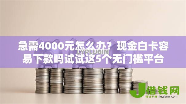 急需4000元怎么办？现金白卡容易下款吗试试这5个无门槛平台
