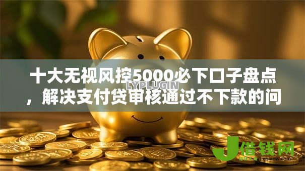 十大无视风控5000必下口子盘点，解决支付贷审核通过不下款的问题