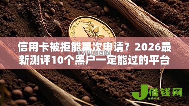 信用卡被拒能再次申请？2026最新测评10个黑户一定能过的平台