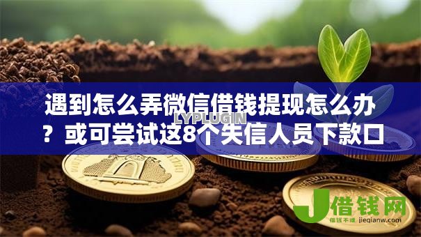 遇到怎么弄微信借钱提现怎么办？或可尝试这8个失信人员下款口子