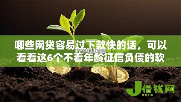 哪些网贷容易过下款快的话,可以看看这6个不看年龄征信负债的软件 哪些网贷容易过下款快的话,可以看看这6个不看年龄征信负债的软件