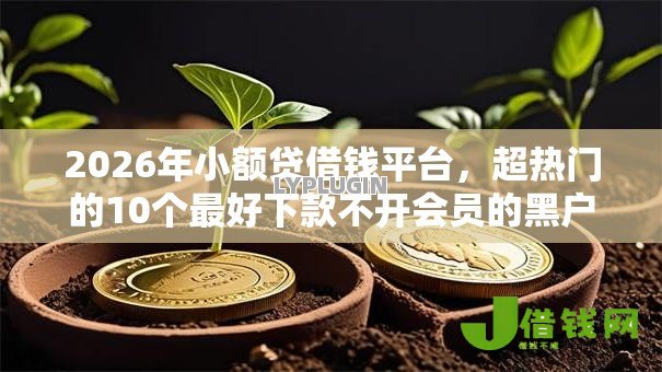 2026年小额贷借钱平台，超热门的10个最好下款不开会员的黑户借钱平台推荐