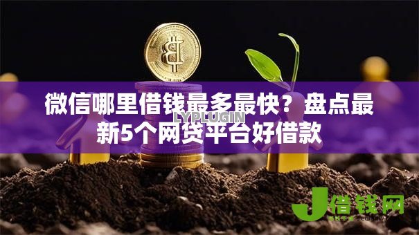 微信哪里借钱最多最快？盘点最新5个网贷平台好借款
