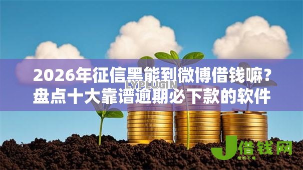 2026年征信黑能到微博借钱嘛?盘点十大靠谱逾期必下款的软件 2026年征信黑能到微博借钱嘛?盘点十大靠谱逾期必下款的软件