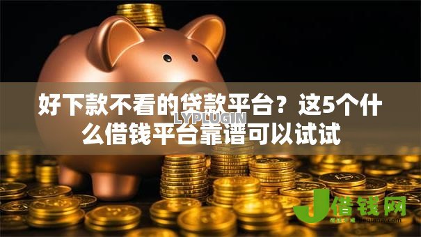 好下款不看的贷款平台？这5个什么借钱平台靠谱可以试试