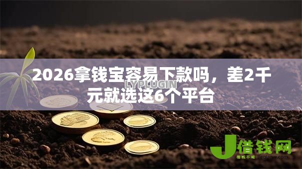 2026拿钱宝容易下款吗,差2千元就选这6个平台 2026拿钱宝容易下款吗,差2千元就选这6个平台