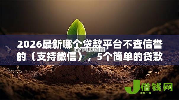 2026最新哪个贷款平台不查信誉的(支持微信),5个简单的贷款平台无私分享 2026最新哪个贷款平台不查信誉的(支持微信),5个简单的贷款平台无私分享