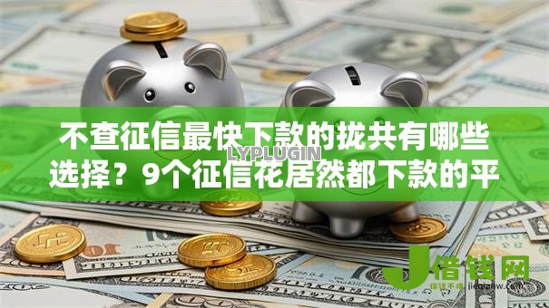 不查征信最快下款的拢共有哪些选择？9个征信花居然都下款的平台详解