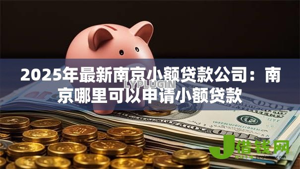 2025年最新南京小额贷款公司：南京哪里可以申请小额贷款