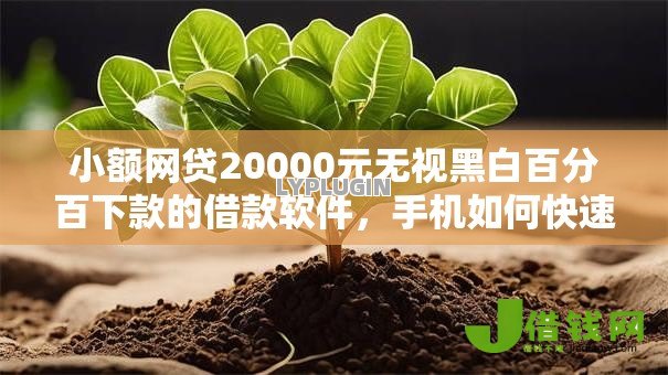 小额网贷20000元无视黑白百分百下款的借款软件,手机如何快速贷款的5个平台介绍 小额网贷20000元无视黑白百分百下款的借款软件,手机如何快速贷款的5个平台介绍