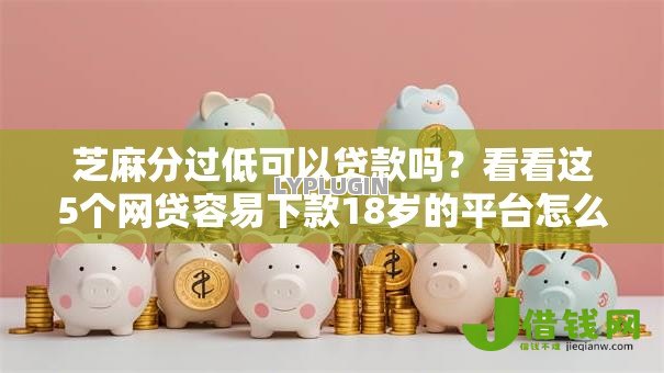 芝麻分过低可以贷款吗？看看这5个网贷容易下款18岁的平台怎么样