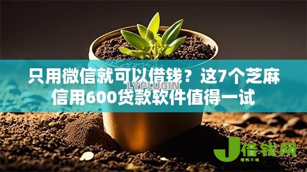 只用微信就可以借钱？这7个芝麻信用600贷款软件值得一试