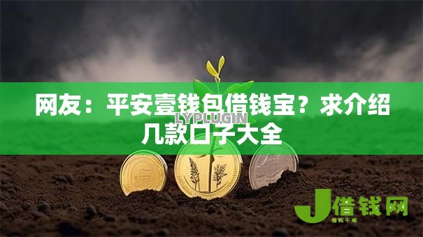 网友:平安壹钱包借钱宝?求介绍几款口子大全 网友:平安壹钱包借钱宝?求介绍几款口子大全