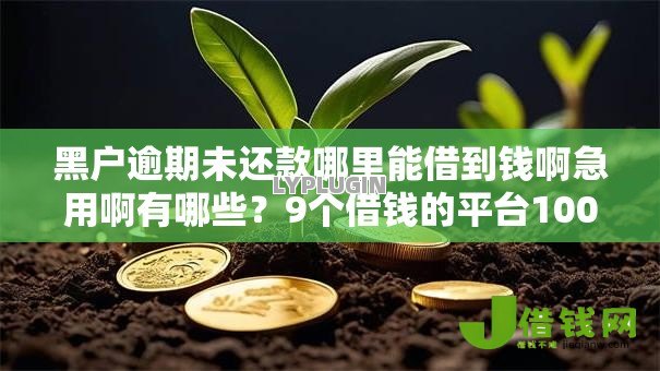 黑户逾期未还款哪里能借到钱啊急用啊有哪些?9个借钱的平台100%能借到利息低推荐给你 黑户逾期未还款哪里能借到钱啊急用啊有哪些?9个借钱的平台100%能借到利息低推荐给你