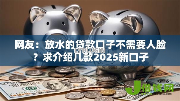 网友:放水的贷款口子不需要人脸?求介绍几款2025新口子 网友:放水的贷款口子不需要人脸?求介绍几款2025新口子