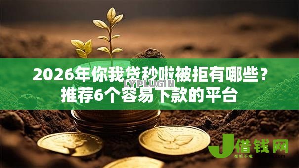 2026年你我贷秒啦被拒有哪些？推荐6个容易下款的平台
