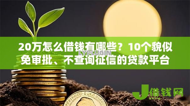 20万怎么借钱有哪些？10个貌似免审批、不查询征信的贷款平台合集