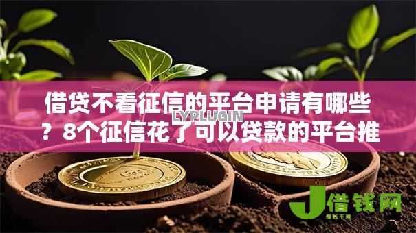 借贷不看征信的平台申请有哪些？8个征信花了可以贷款的平台推荐给你