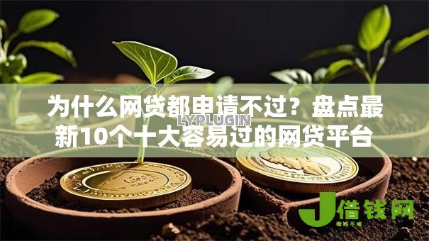为什么网贷都申请不过？盘点最新10个十大容易过的网贷平台