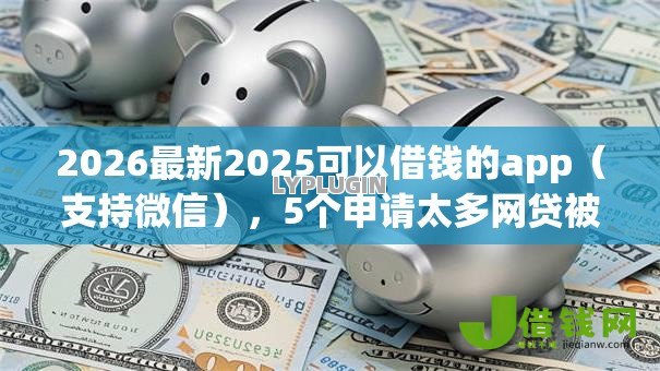 2026最新2025可以借钱的app（支持微信），5个申请太多网贷被拒,有没有可以贷款的平台无私分享