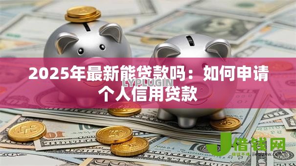 2025年最新能贷款吗：如何申请个人信用贷款
