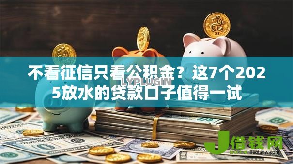 不看征信只看公积金?这7个2025放水的贷款口子值得一试 不看征信只看公积金?这7个2025放水的贷款口子值得一试