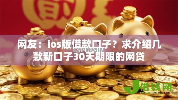网友：ios版借款口子？求介绍几款新口子30天期限的网贷