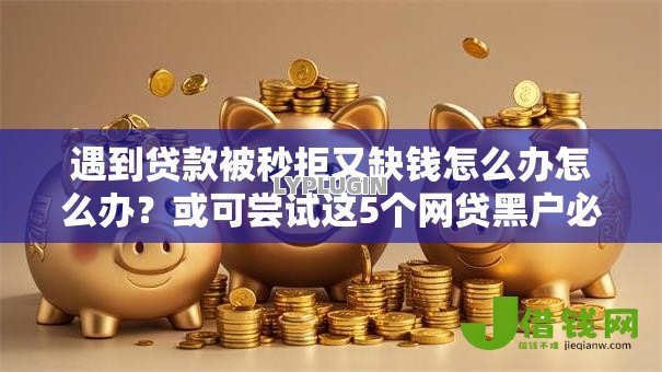 遇到贷款被秒拒又缺钱怎么办怎么办?或可尝试这5个网贷黑户必过平台 遇到贷款被秒拒又缺钱怎么办怎么办?或可尝试这5个网贷黑户必过平台