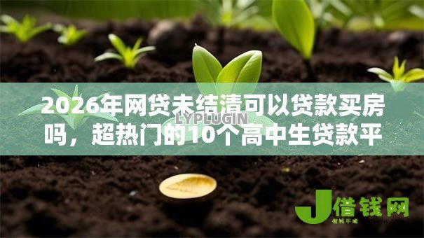 2026年网贷未结清可以贷款买房吗,超热门的10个高中生贷款平台推荐 2026年网贷未结清可以贷款买房吗,超热门的10个高中生贷款平台推荐