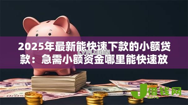 2025年最新能快速下款的小额贷款：急需小额资金哪里能快速放款