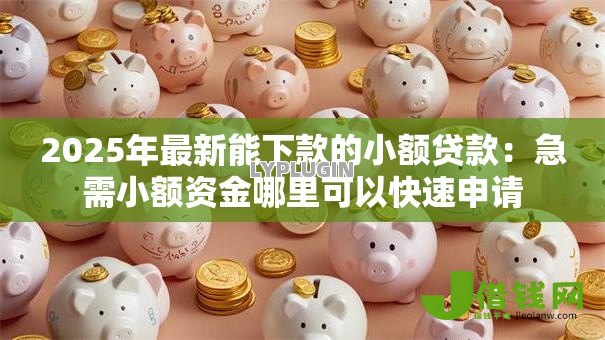 2025年最新能下款的小额贷款：急需小额资金哪里可以快速申请