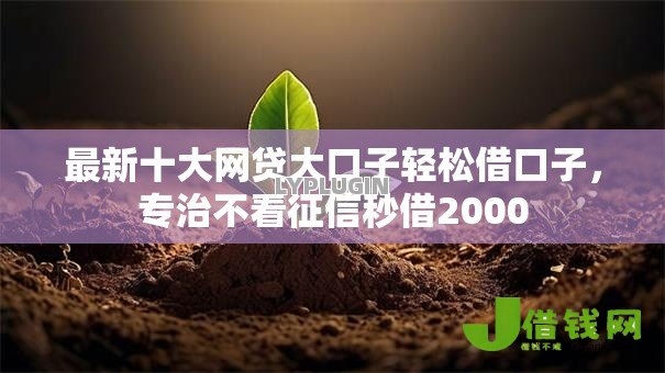 最新十大网贷大口子轻松借口子,专治不看征信秒借2000 最新十大网贷大口子轻松借口子,专治不看征信秒借2000
