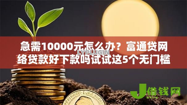 急需10000元怎么办?富通贷网络贷款好下款吗试试这5个无门槛平台 急需10000元怎么办?富通贷网络贷款好下款吗试试这5个无门槛平台
