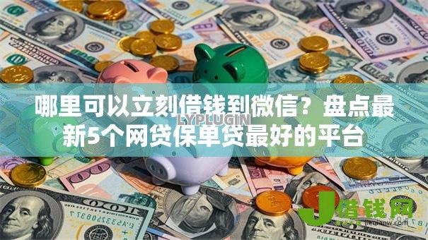 哪里可以立刻借钱到微信？盘点最新5个网贷保单贷最好的平台