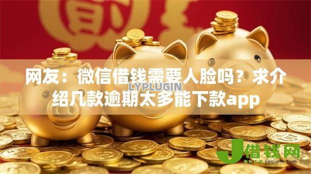 网友：微信借钱需要人脸吗？求介绍几款逾期太多能下款app